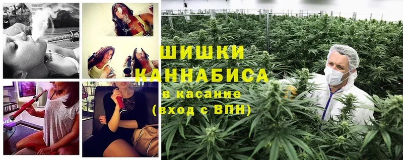 Шишки марихуана OG Kush  Кизилюрт 